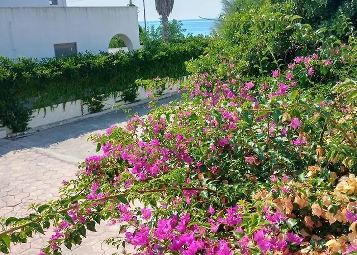 A 20 M.dal Mare Torre Vado